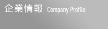 会社情報 - Company Profile